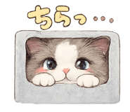 858062341