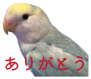 858062449