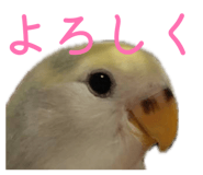 858062450