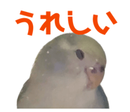 858062452