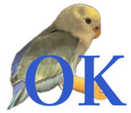 858062453