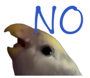858062454