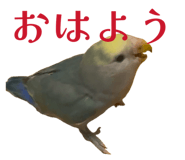 858062456
