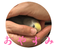 858062457