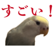858062458