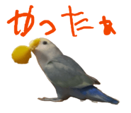 858062459