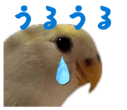 858062461