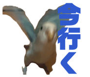 858062463