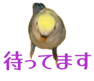 858062464