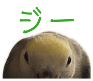 858062465