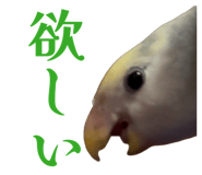 858062466
