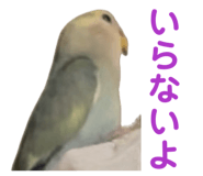858062467