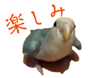 858062468