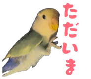 858062471