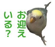 858062473