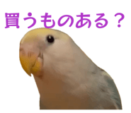 858062474