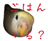 858062475
