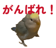 858062479