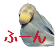 858062480
