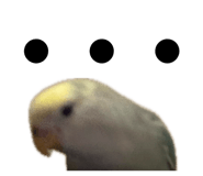 858062481