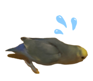 858062482