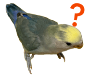 858062483