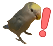 858062484