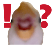 858062485
