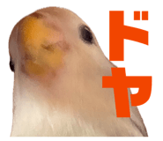 858062486