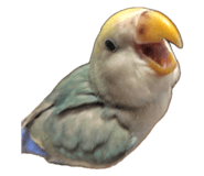 858062487