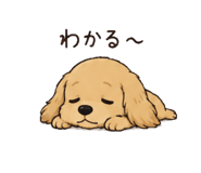 858062584