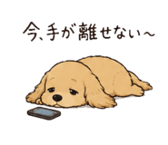 858062587