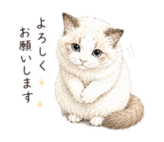 858062612