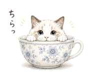 858062626