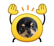 858062680