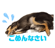 858062684