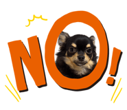 858062686