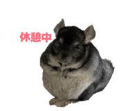858063537