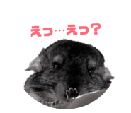 858063546