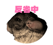 858063548