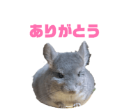 858063552