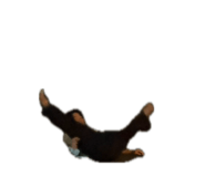 858063852