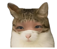 858063856