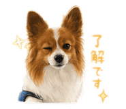 858063878