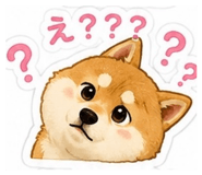 858063933
