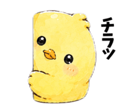 858063950
