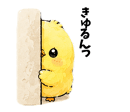 858063968