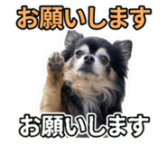 858064020