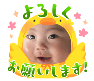 858064126