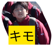 858064446